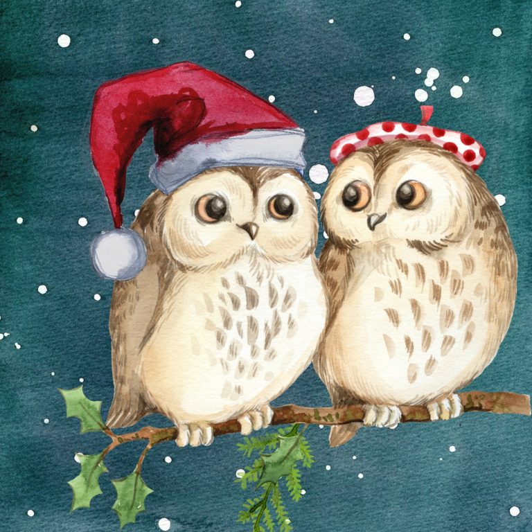 Dibujo de dos búhos en navidad con gorro de Papá Noel. Se miran y soríen